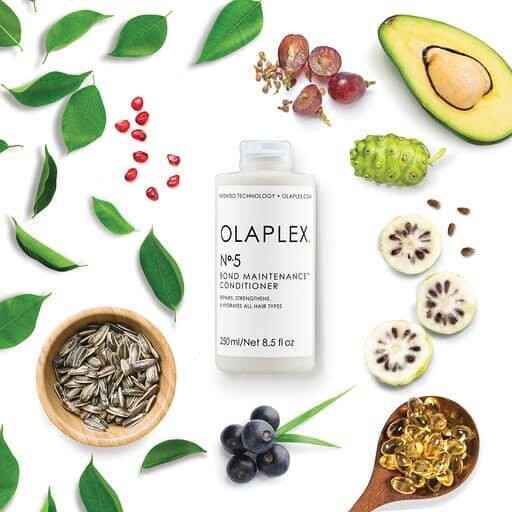 Olaplex n. 5 250 ml Bond Maintenance Conditioner